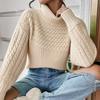 Autumn and Winter Turtleneck Pullover Long-sleeved Sweater Women's Twist Thread Solid Color Knitted Sweater Top