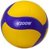 Fengyi Volleyball