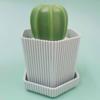 Creative Pot Brush Prickly Pear Nano Cleaning Ball Gradient Color Cleaning Brush Pot Brush
