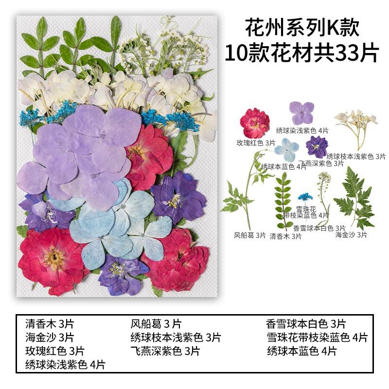 Natural Dried Flowers Pack For Diy Resin Pressed Flower Art