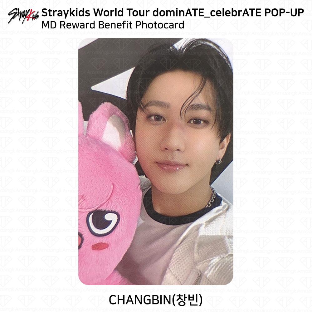 Stray Kids World Tour DominATE CelebrATE POP-UP MD Reward Benefit Photocard KPOP