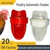 Automatic Gravity Feeder for Poultry - Chickens, Ducks, Geese