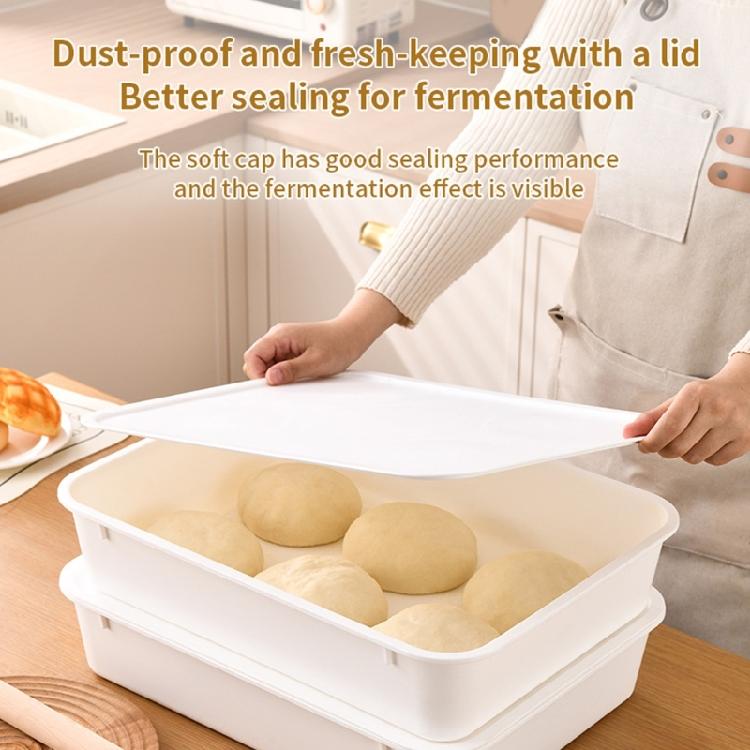 Rapid Fermentation Dough Box Featuring PE Materials for Optimal Result Clear Designs and Airtights Seal Domestic