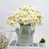 Garden Plants Flower Vase Iron Bucket Metal Vase Craft Holder Home Decor Galvanized Finish Balcony Country Rustic Desktop Bucket