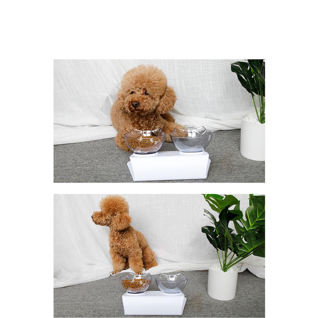 Cat Bowl, Orthopedic Anti-Slip Pet Bowl, Transparent Double Bowl Pet Feeder