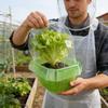 20Pcs Plants Slug Protection Rings Green White Planter Flower Pot Snail Vegetables Cover Reusable Control Trapper Garden Tool