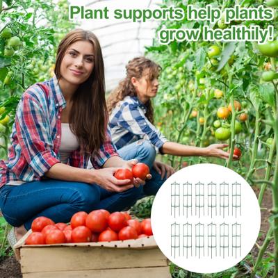 12 Pack Tomato Cage, Garden Plant Support, Up To 48inch Garden Stakes Tomato