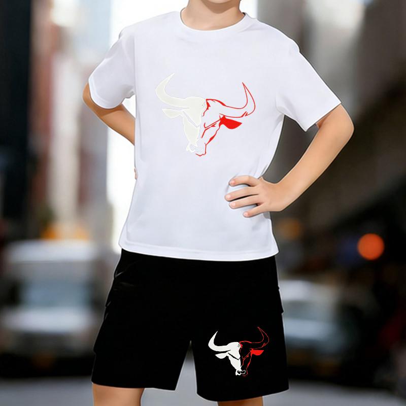 

Boys 2 Piece Bull printed outfit, Short Sleeve T-Shirt and Shorts Set for Kids Age 5-14,Black,White Sporty Casual Summer Clothes 13-14 Years