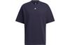 T Shirts Men's Blue Crew Neck Moderate Straight Fit HS4381