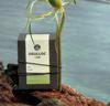 Osulloc Sejak Green Tea – 3 Premium Tea Bags for Fresh Flavor