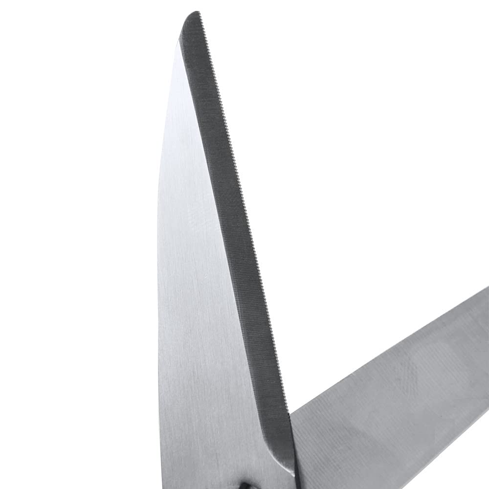 CANARY Hasegawa Cutlery Scissors Kitchen Use EL Black EL-210