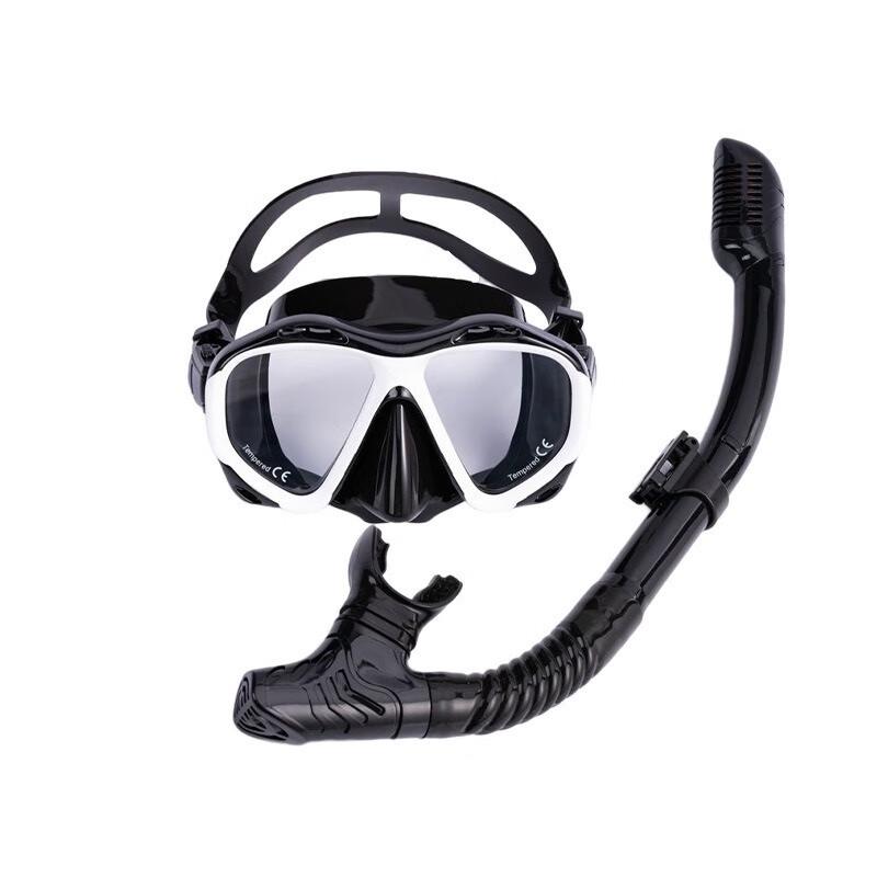 Snorkeling Mask with Full Dry Snorkel
