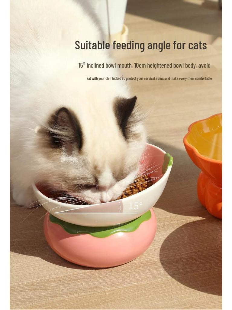 Ergonomic Ceramic Cat Bowl: High-Legged, Slanted Design Protects Pet's Cervical Spine for Food & Water