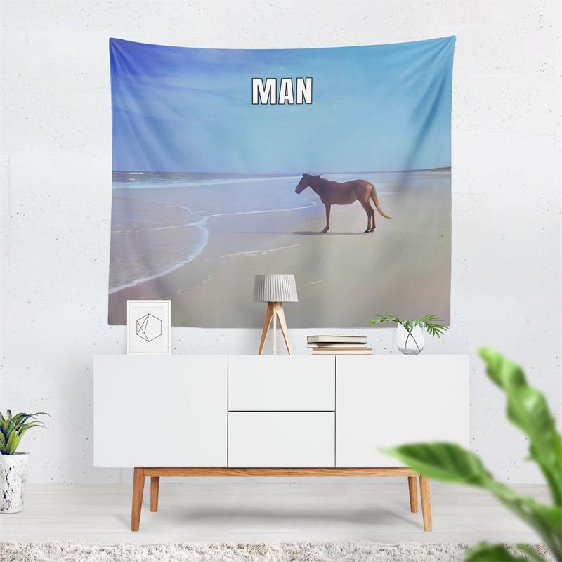 Aertemisi Man Horse on Beach Meme Tapestry Wall Hanging Art for Bedroom Living Room College Dorm Party Backdrop Home Room Decor