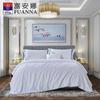 Qingyan Silk Summer Quilt