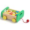 Wooden Pull-Along Building Blocks Toy