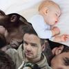 LiamPayne collage Throw Blanket Bed linens Retros Luxury St Giant Sofa Blankets