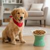 Anti-Slip Base Dog Food Feeder Wide Mouth Cat Feeding Dish Cute Pet Water Bowls  for Cats and Dogs