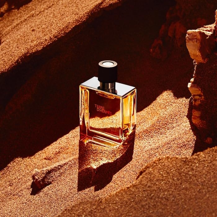 Hermes Terre Hermes Eau De Perfume Spray 75ml