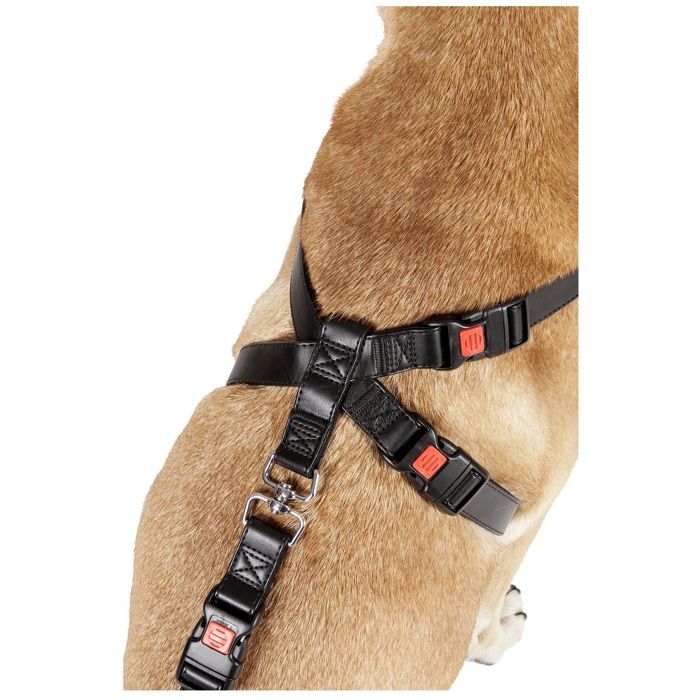 Harnais de sécurité pour voiture Duma Noir XS