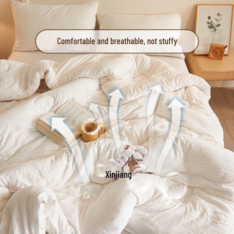 ANCHOW Soft Core All-Season Quilt