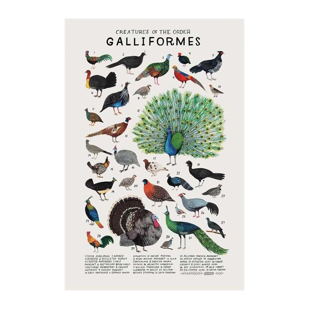 Abstract Marine Organisms Jellyfish Whale Squid Fishes Posters Canvas Painting and Prints Wall Art Picture for Room Home Decor