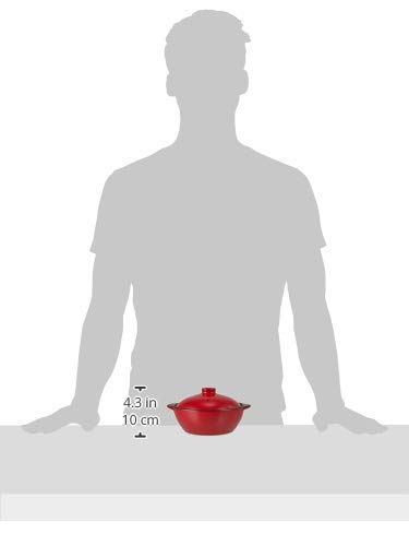 Ishigaki Industry Chocotto Heat-Resistant Cocotte, 16cm, Two-Handed, Red, 4121