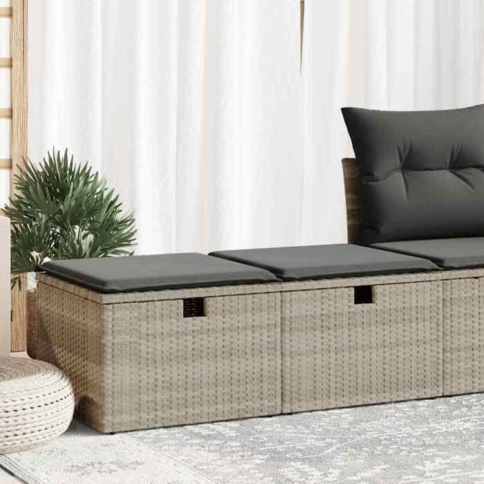 VidaXL Salon de jardin 2 pcs avec coussins gris clair polyrotin acacia 3328675