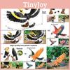 Animal Model Wildlife Solid Plastic Parrot And Hornbill Figures For Gift Kids