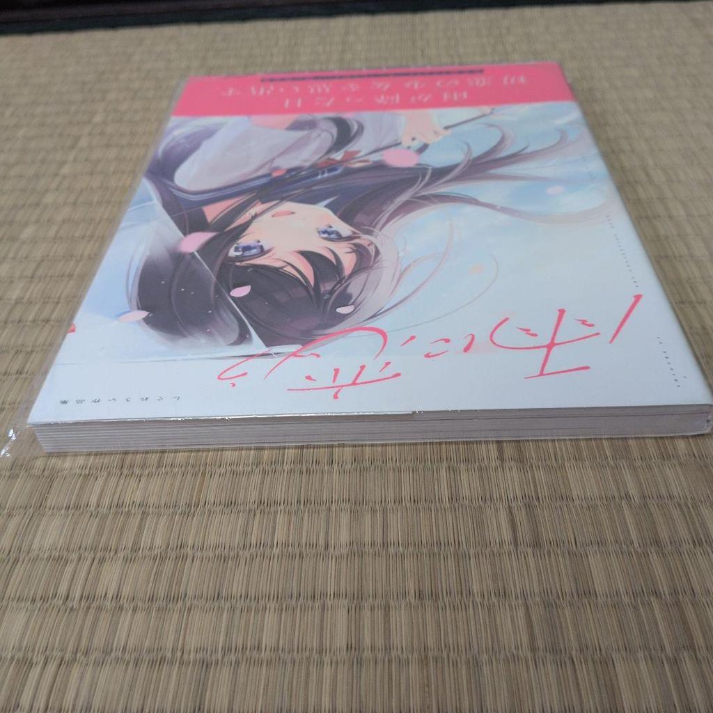 [USED] Beautiful item: Shigure Ui's collection of works "Love in the Rain" - shipping included