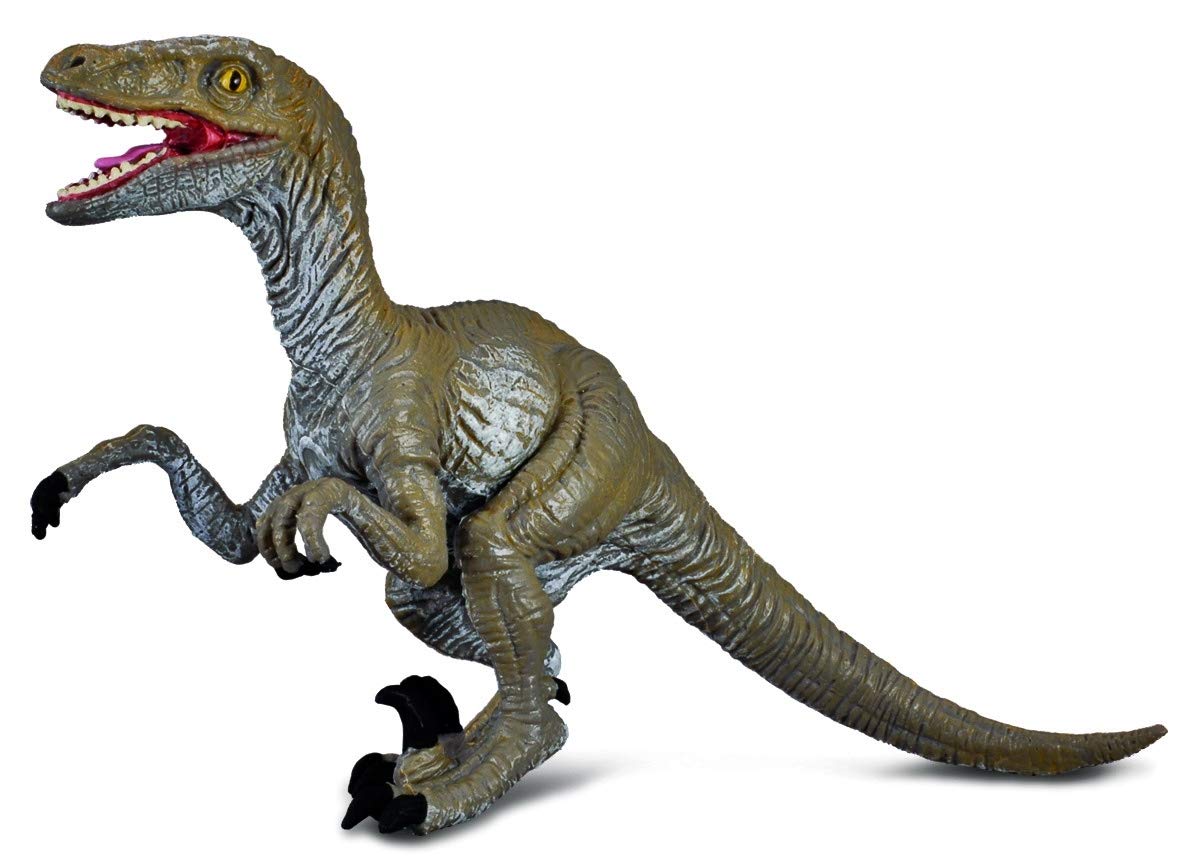 CollectA Velociraptor Dinosaur Figure 88034
