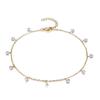 Exquisite Baida Zircon Tassel Crystal Beaded Double Layer Anklet