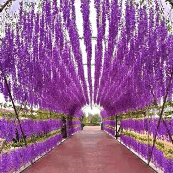 10Pcs Artificial Wisteria Vine Indoor Outdoor Wall Hanging Fake Flower Garland Home Wedding Party Festival Simulated Floral Decoration