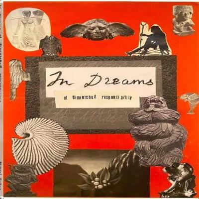 In Dream of Diminished Responsibility by Miguel Cullen Hardback Book 9780992863630