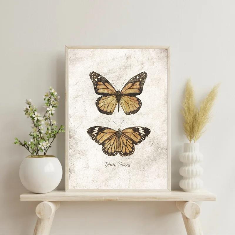 Vintage Butterflies and Moths Insect Studies Specimen Posters Prints Canvas Printing Wall Art Picture for Living Room Home Decor