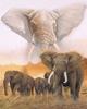 5D Diamond Painting Elephant Full Drill Square Needlework Diamond Embroidery Full Set Animal Diamond Mosaic Cross Stitch Craft Kit Home Decor