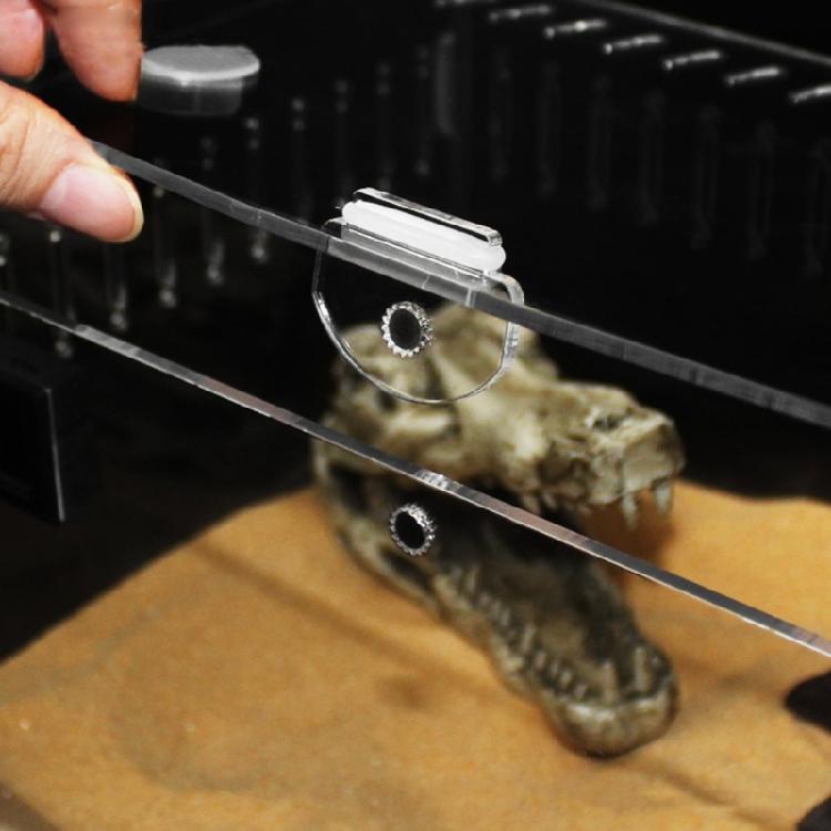 Reptiles Feeding Box Acrylic Breeding Case Clear Insect Mini Habitat