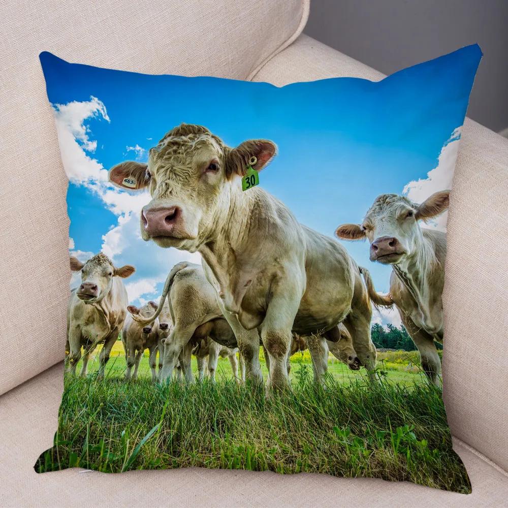 Scotland Kyloe Pillow Case Decor Wild Cow Colorful Animal Print Pillowcase Soft Short Plush Cushion Cover for Home Sofa 45x45cm