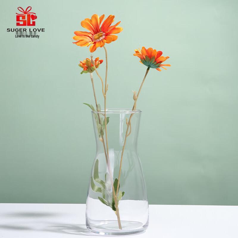 Minimalist Clear Glass Wide-Mouth Vase