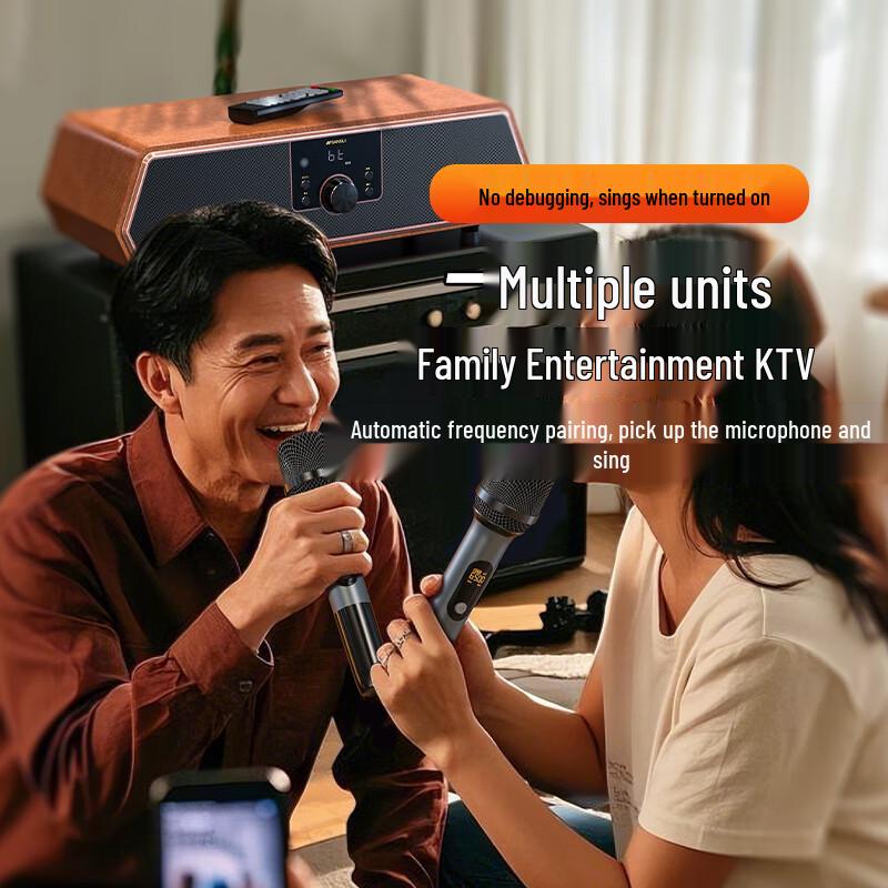 SANSUI Desktop Home KTV Karaoke Audio System