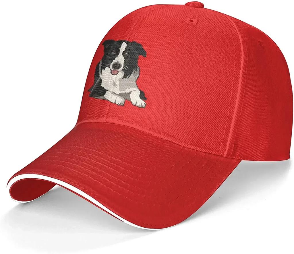 Border Collie Baseballkappe Unisex Damen Verstellbar Schirmmütze Sandwich Papa Hüte Golfhut