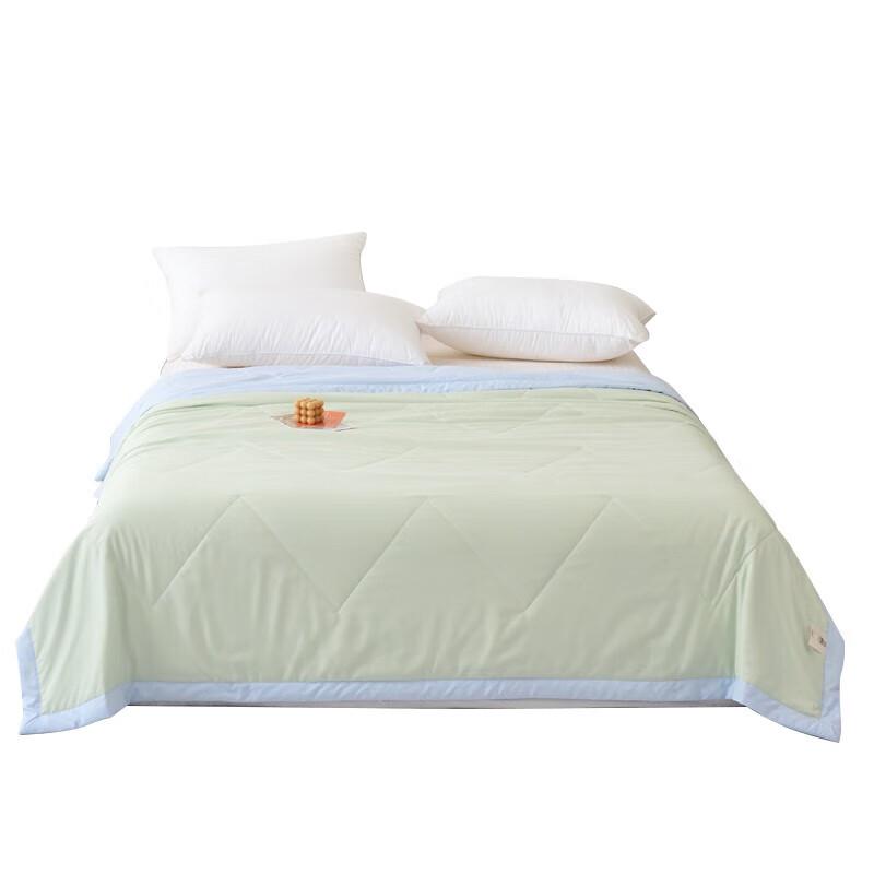 

Lan Ruo Ting Cloud Soft All-Season Quilt