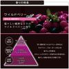 CARMATE Car Air Freshener Blang Air Conditioner Installation Air Stick Mini Wild Berry 2 Pieces H1146