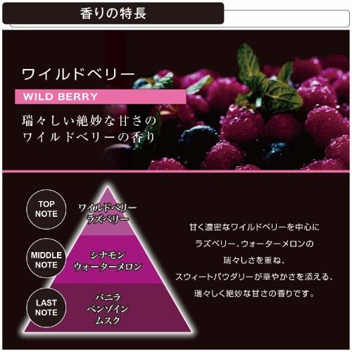 CARMATE Car Air Freshener Blang Air Conditioner Installation Air Stick Mini Wild Berry 2 Pieces H1146