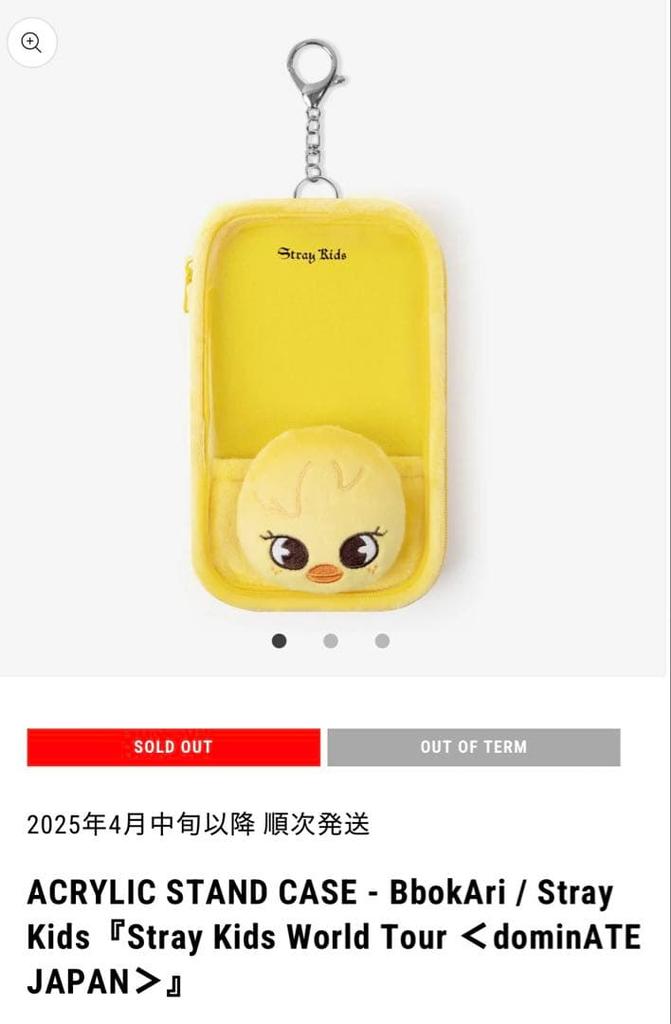 [GEBRAUCHT] StrayKids "DominATE JAPAN" Acryl-Ständer-Etui Pogari