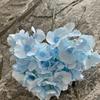 Leafless Design Hydrangea Flower Woolen Cloth 45CM Size Artificial Flower Five Headed Embroidered Ball Simulation Flower