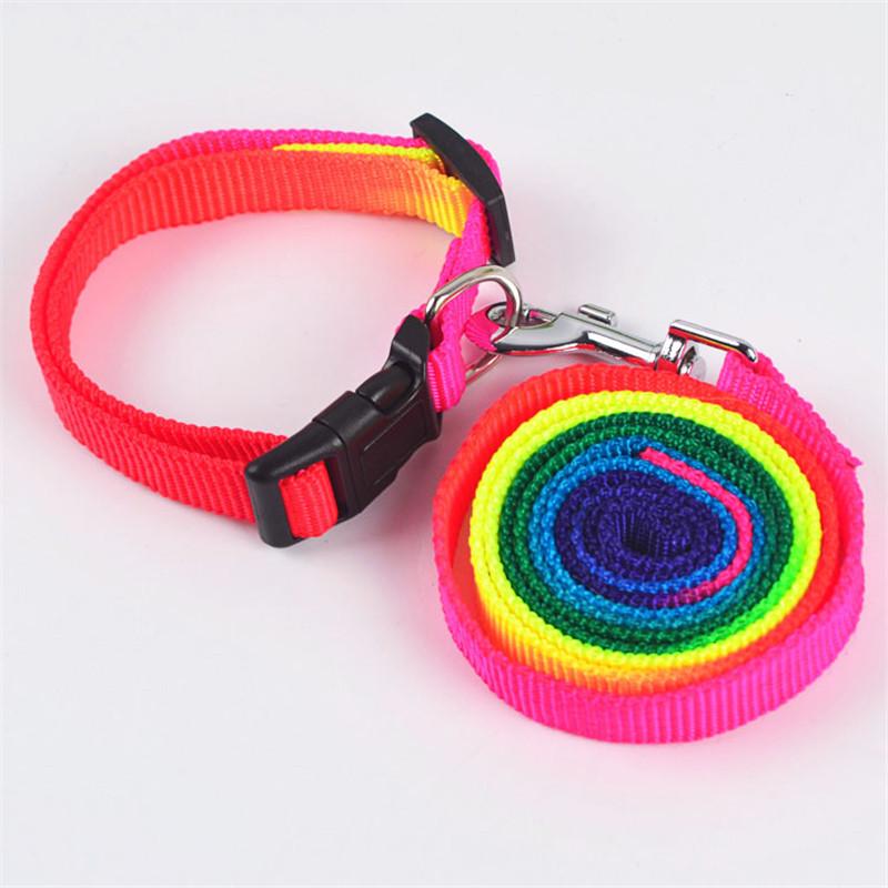Pet Rainbow Leash and Collar Set for Dogs & Cats