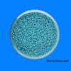 High-Grade Luminous Star Sand Stones for DIY, 10g