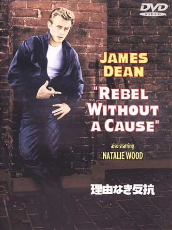 

DVD - Rebellion Special Edition for No Re Japan Movies & DVD Used