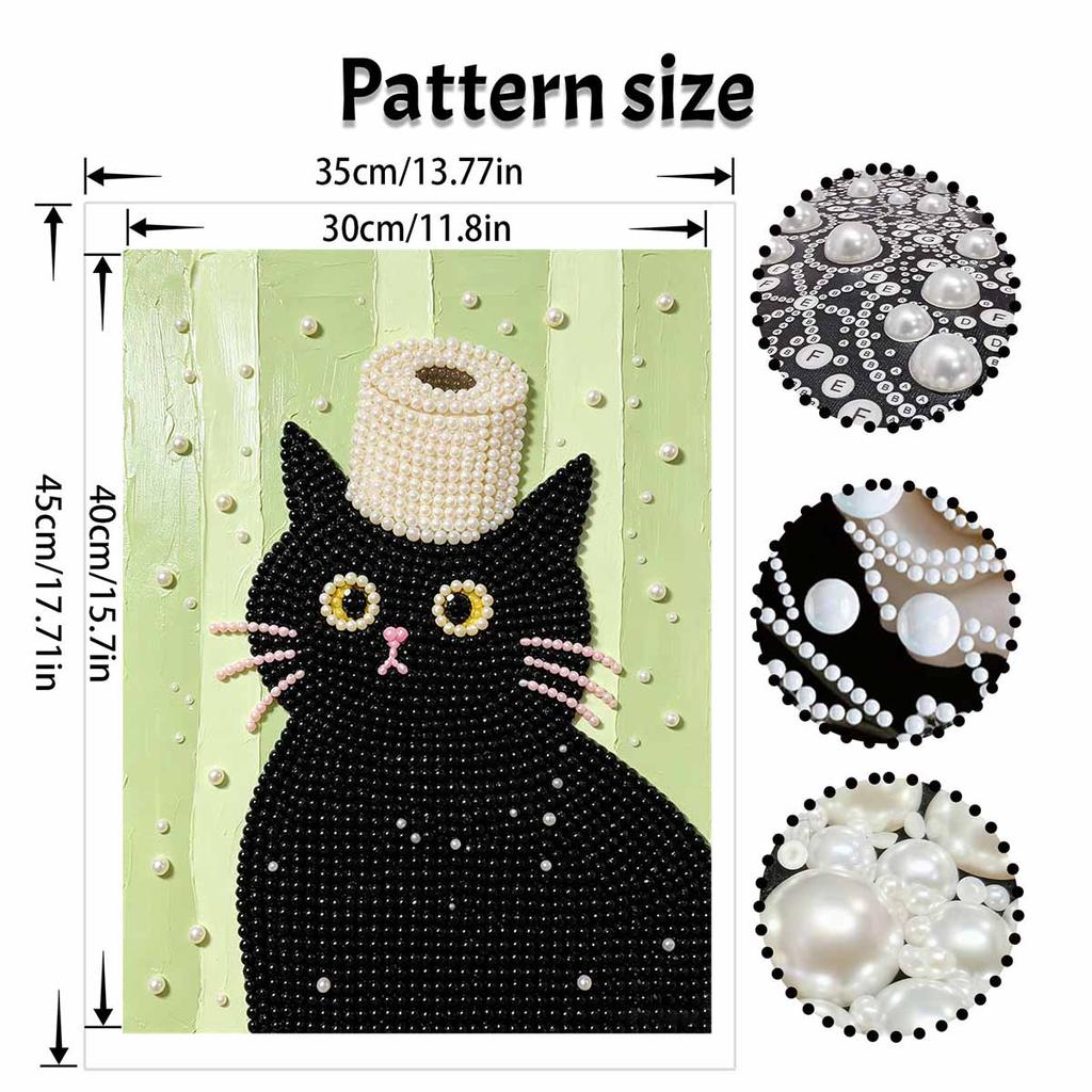 5D DIY Pearl Art Kit Black Cat With Toilet Paper Themed Decor. Home Wall Decoration